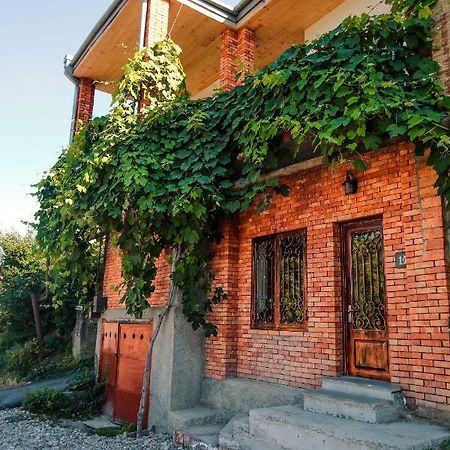 Luca Lili Hotel Szenaki Kültér fotó